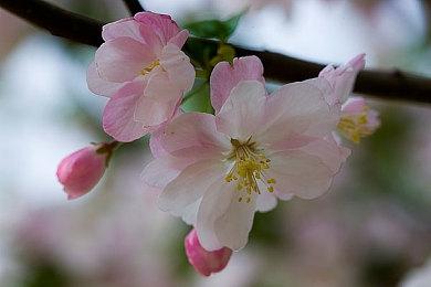 解密游戏《希罗之书》Steam游戏页面上线 发售日期待定